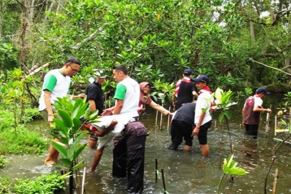 Mahasiswa Tangerang Tanam Ribuan Banteng Pohon Mangrove