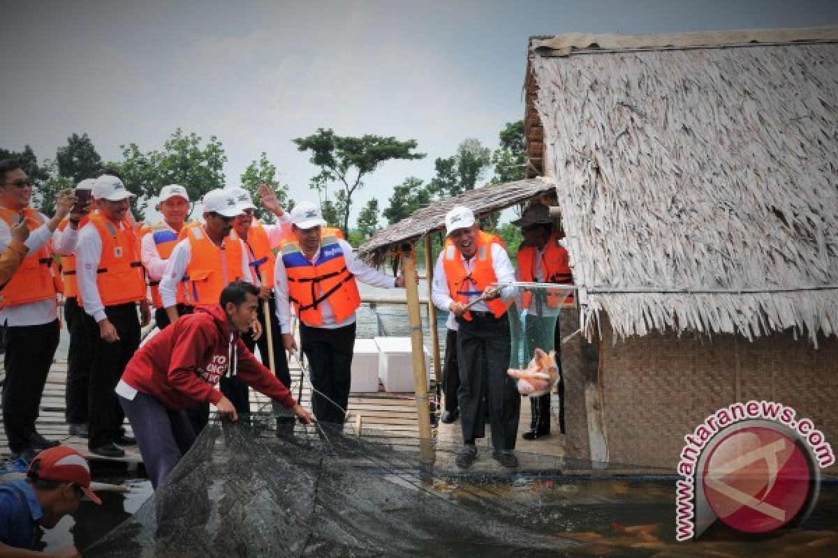 Semen Indonesia Panen Raya Ikan Keramba di Lahan Pascatambang