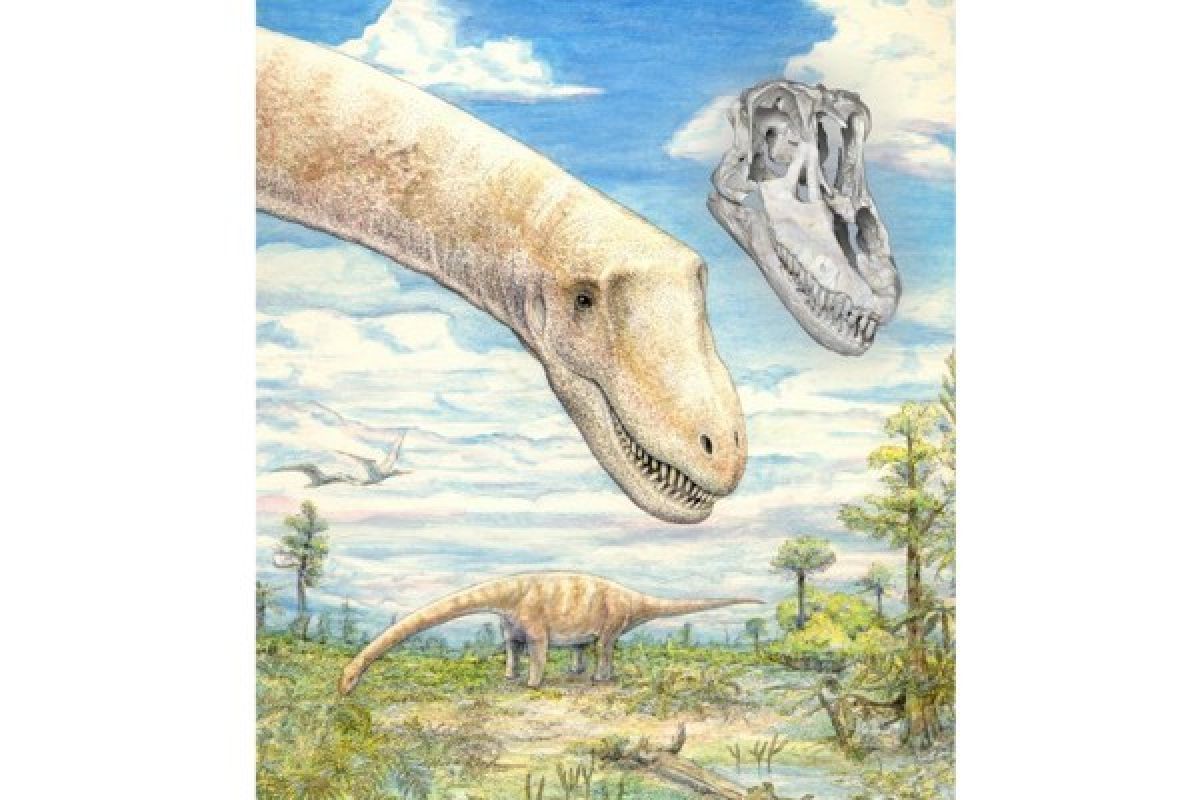 Fosil Tengkorak Tunjukkan Perilaku Dinosaurus Berleher Panjang