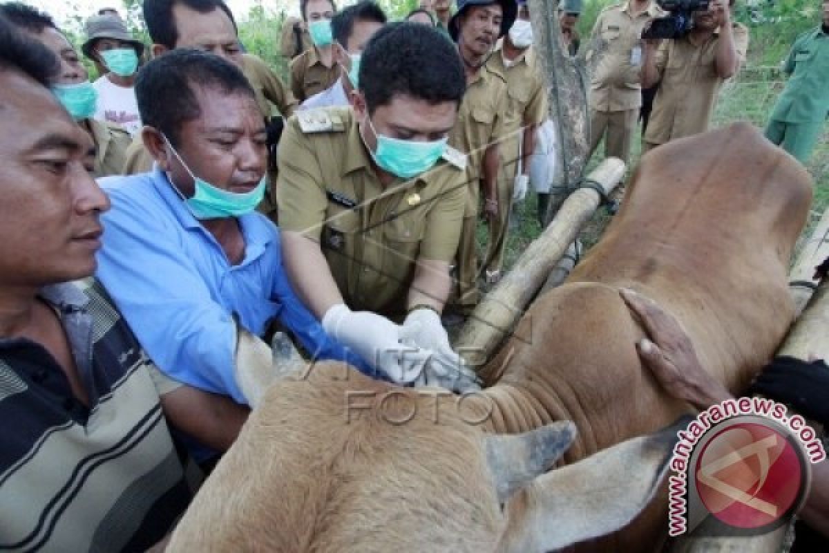 Pemkab Gorontalo Imbau Peternak Waspada Wabah Antraks