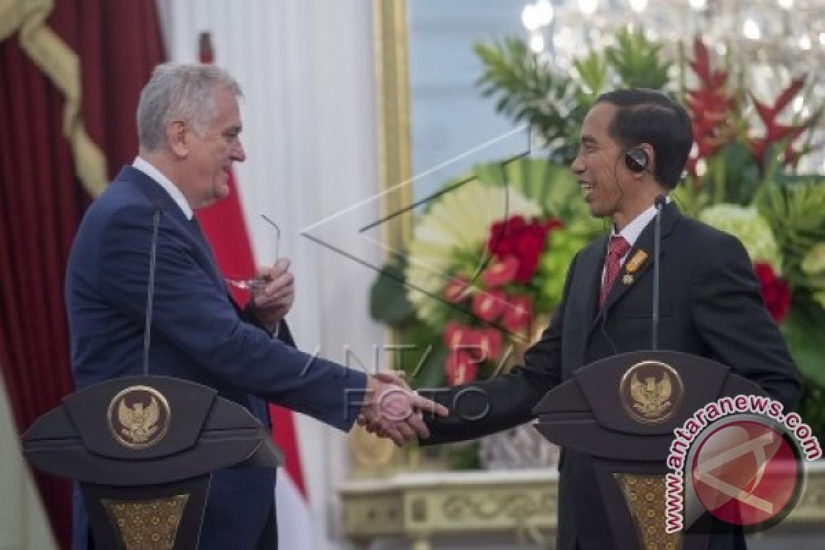 Joko Widodo Meets Serbian President Tomislav Nikoli