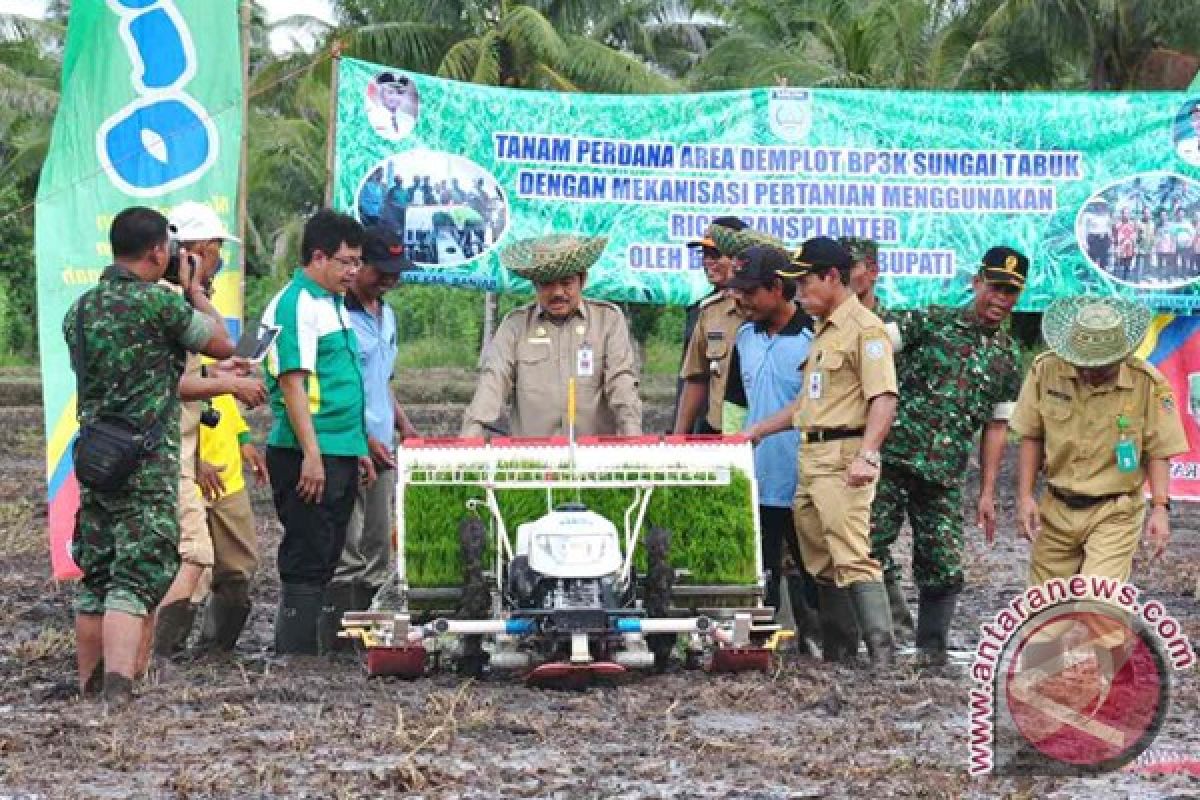 Tanam Padi Perdana Di Area Demplot