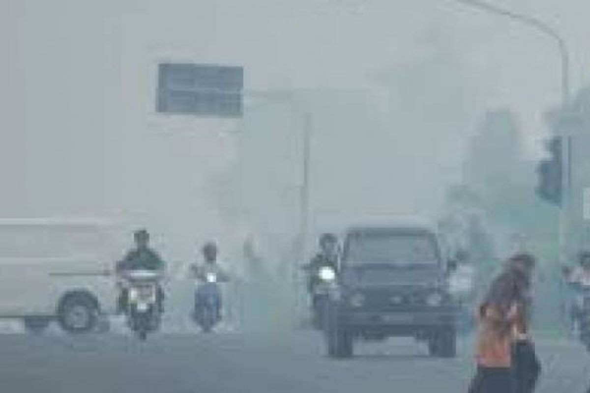 Pengamat Beri Masukan Terkait Kabut Asap Yang Terjadi Di Riau