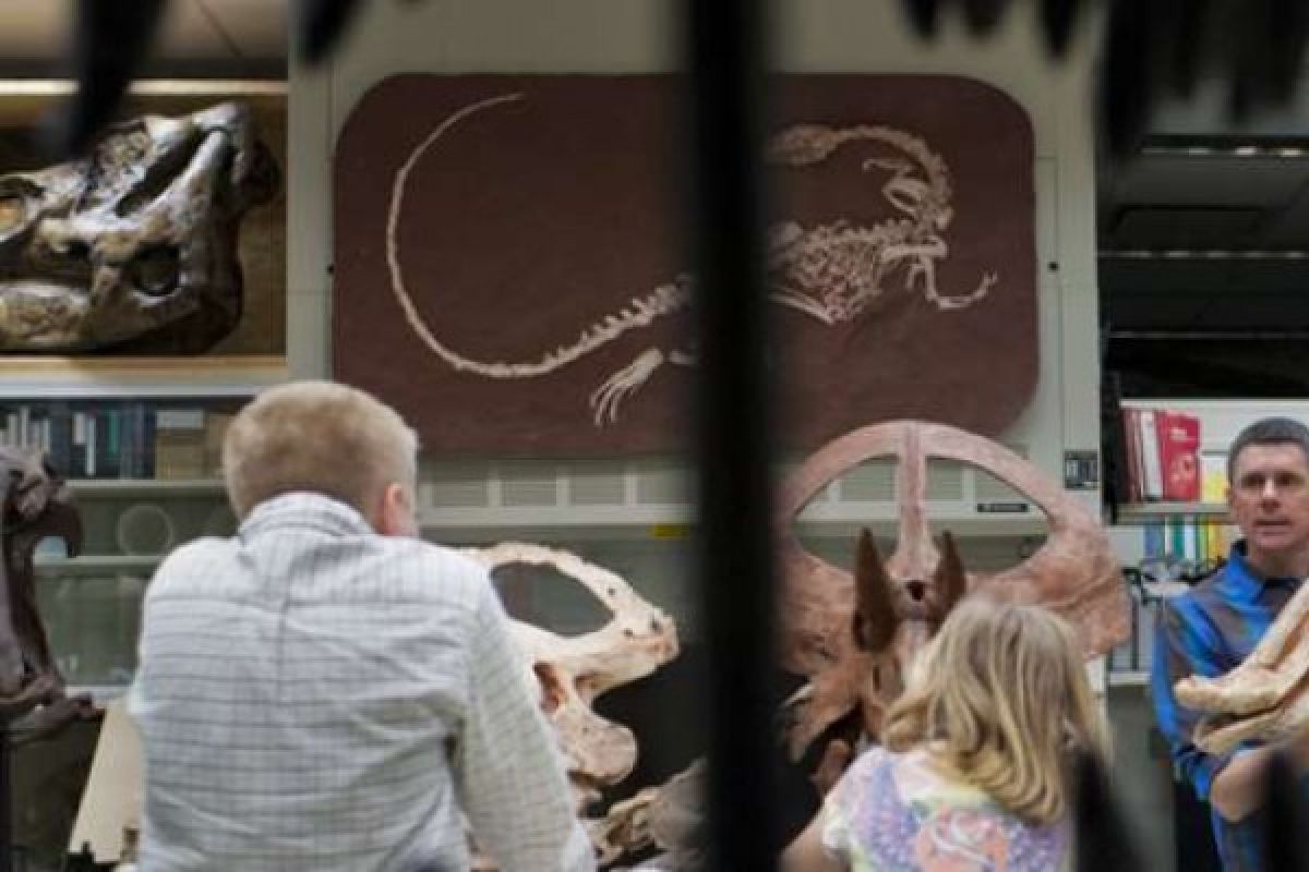 Identifikasi Perilaku Makan Dinosaurus Melalui Tengkorak