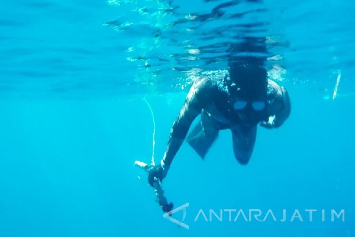 Situbondo Tawarkan Wisata Menembak Ikan di Laut