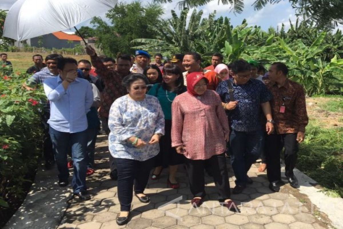 Hasto : Dialog Megawati-Risma Wajah Poitik Kemanusiaan