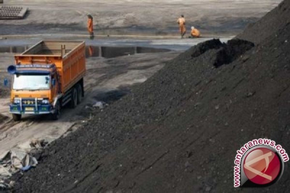 Greenpeace: 6500 meninggal akibat polusi batu bara di Indonesia