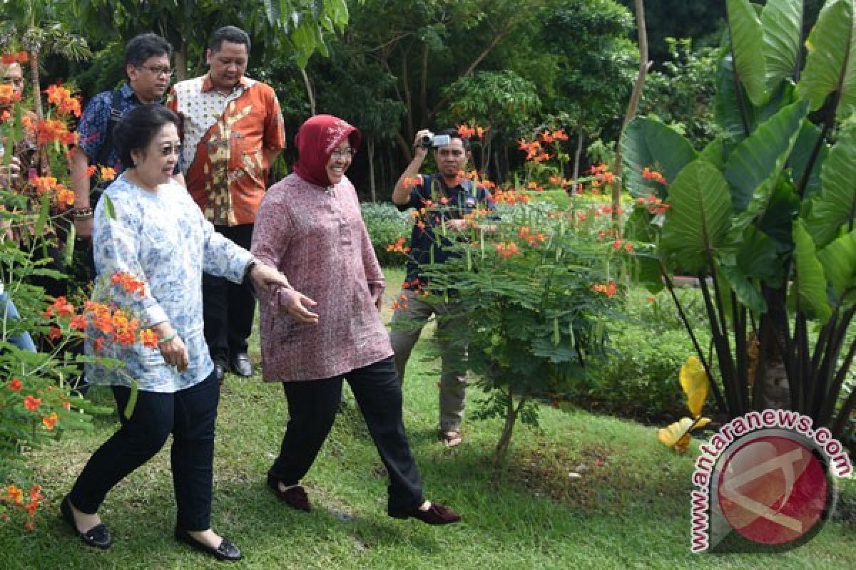 Surabaya klaim sukses turunkan suhu kota hingga 2 derajat