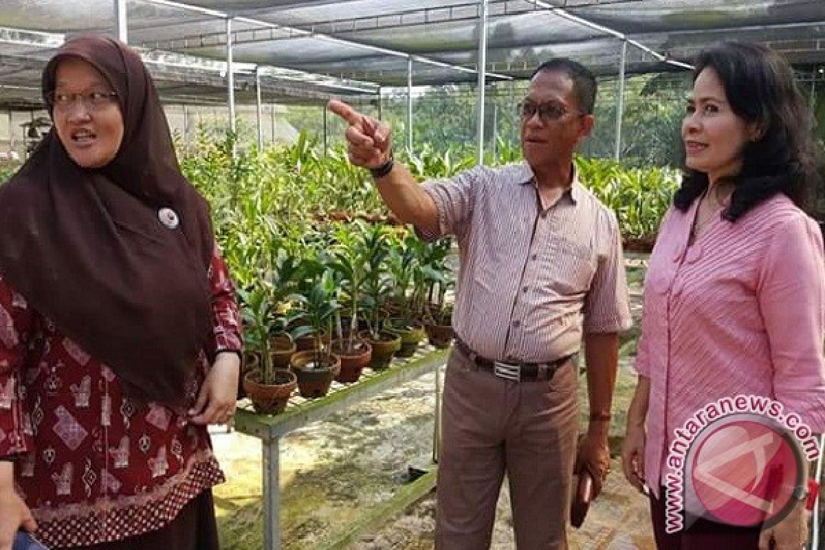 Usung Konsep Agrominapolitan, Investasi Lingga Bergairah