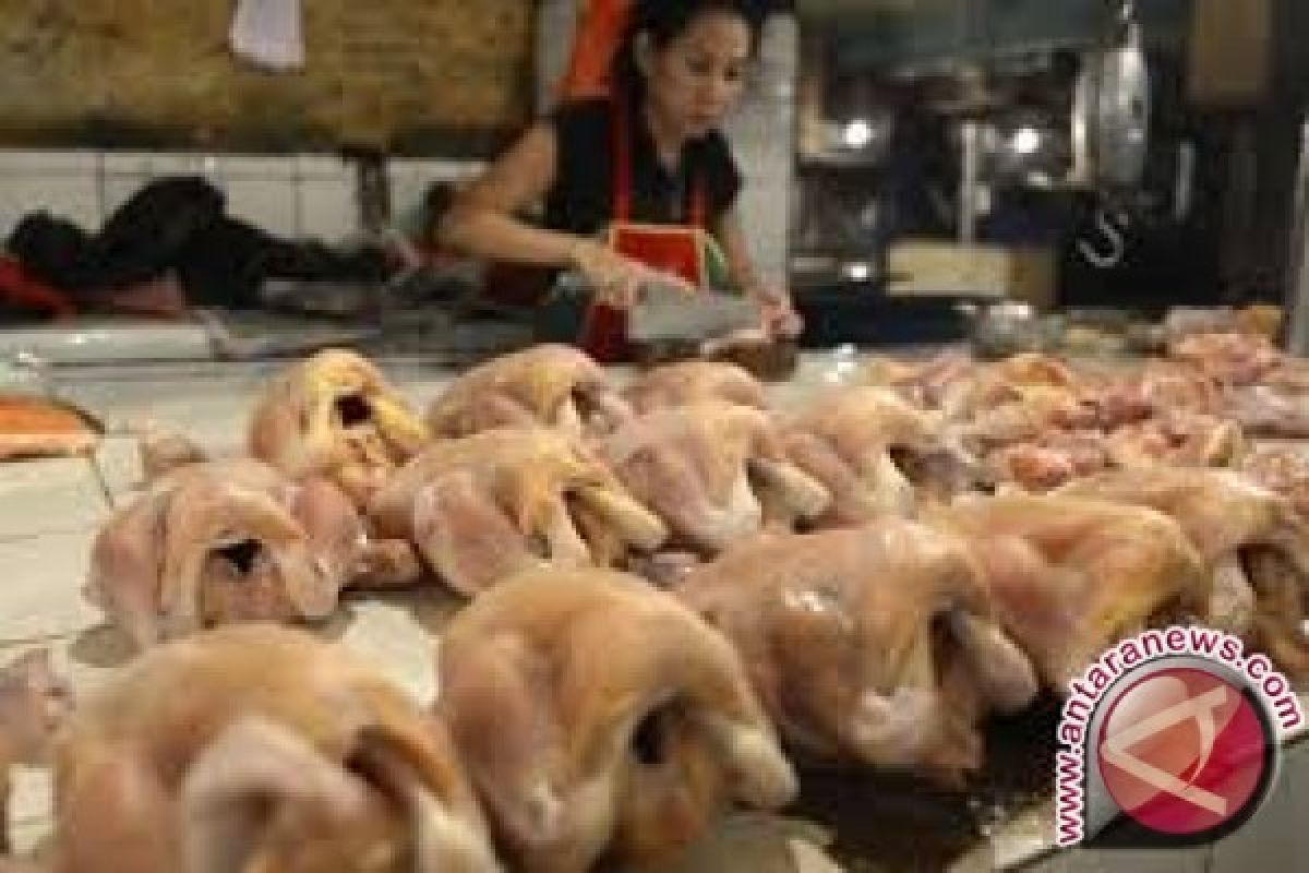 Daging ayam broiler di Jambi naik Rp1.000/Kg