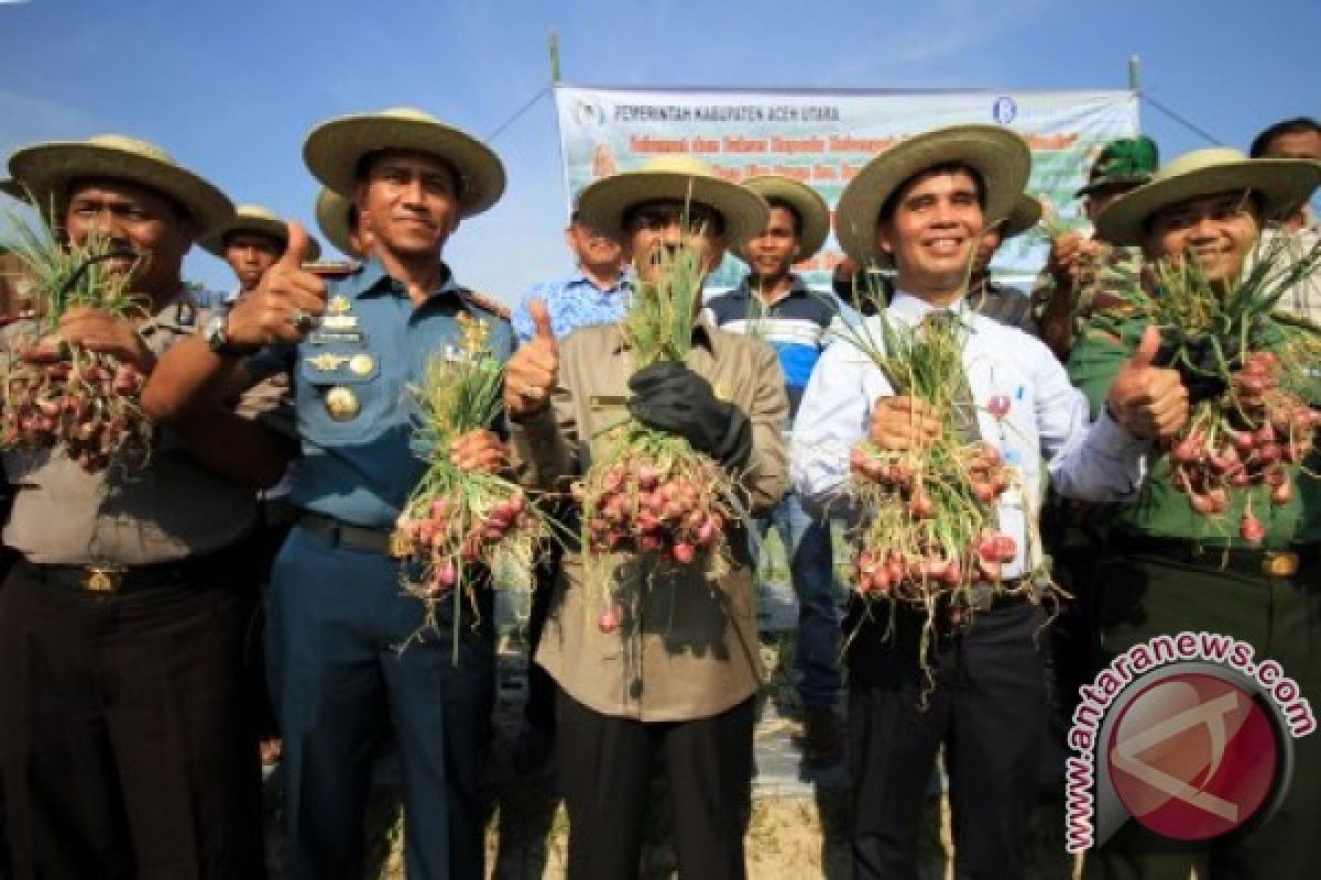 BI bina poktan bawang merah di tepi Danau Lut Tawar