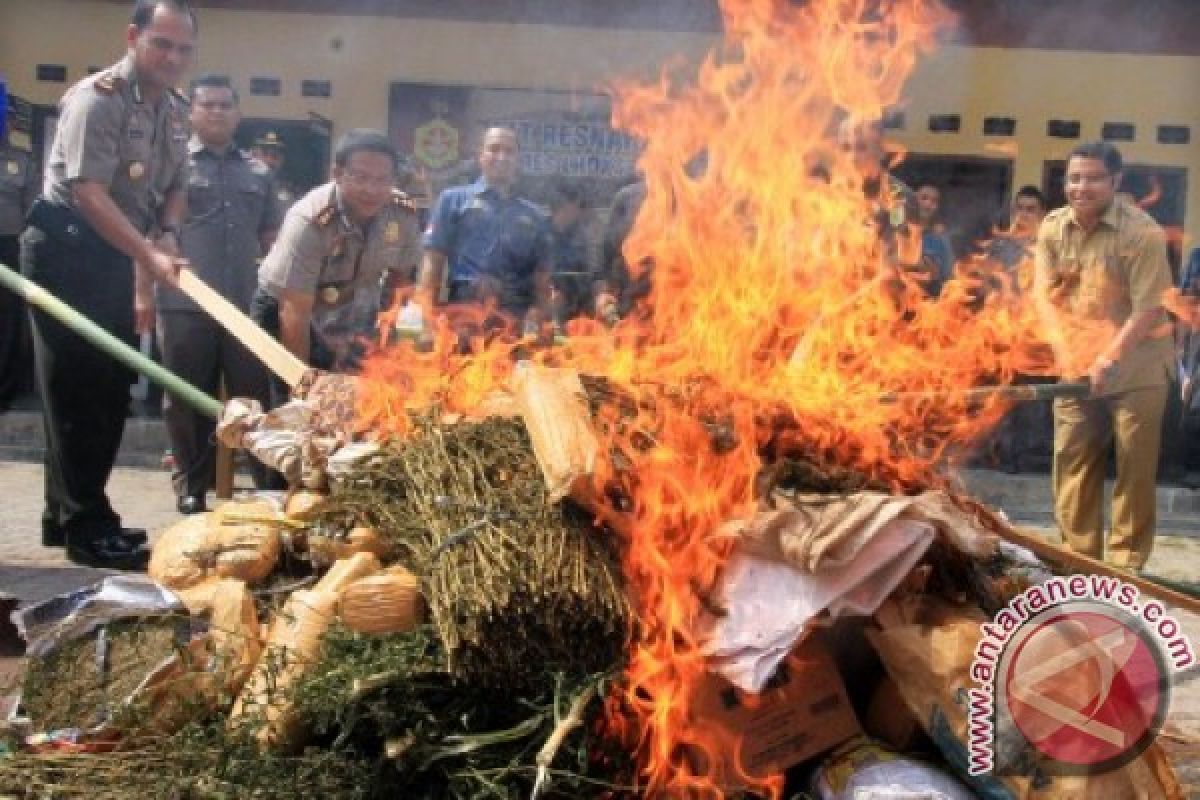 Kejari Aceh Barat musnahkan narkoba