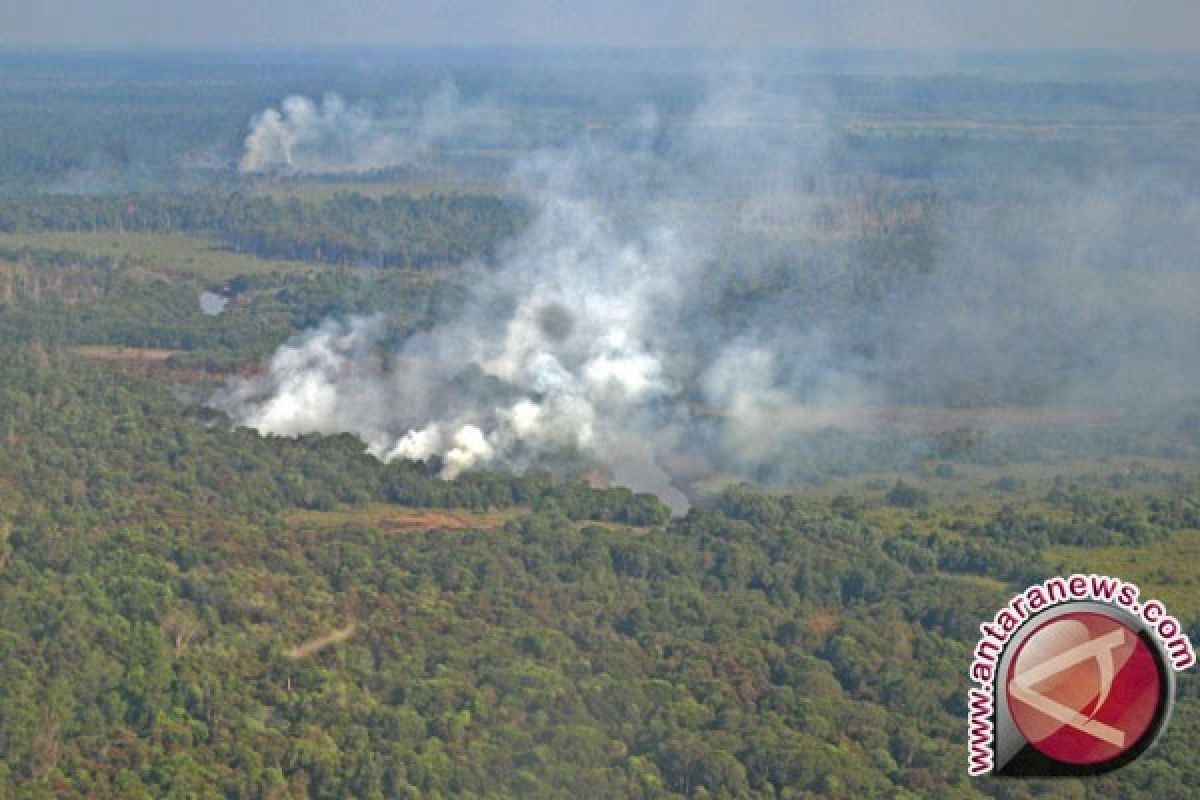 Hektaran Hutan Taman Nasional Baluran Situbondo Terbakar