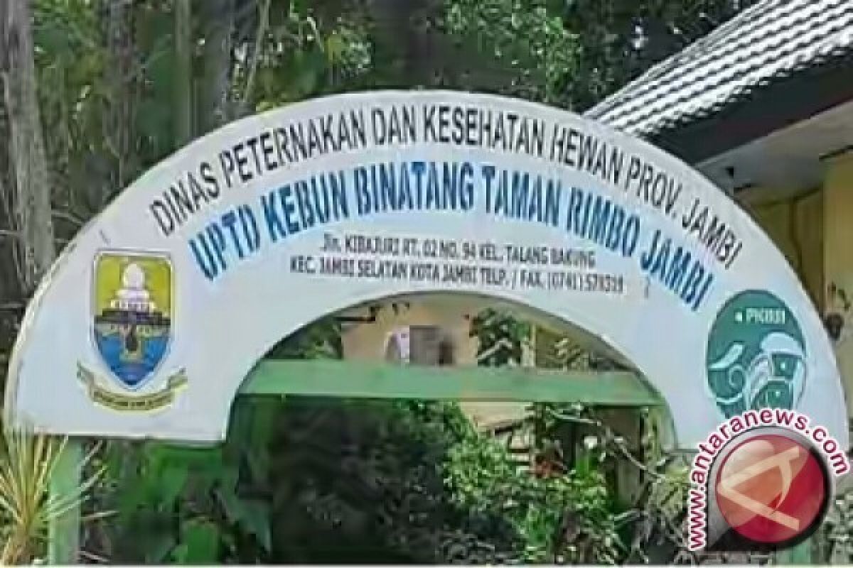 7.624 orang mengunjungi Taman Rimba Jambi selama libur panjang