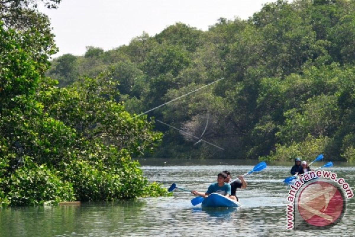 MENJAGA KEBERSIHAN HUTAN BAKAU