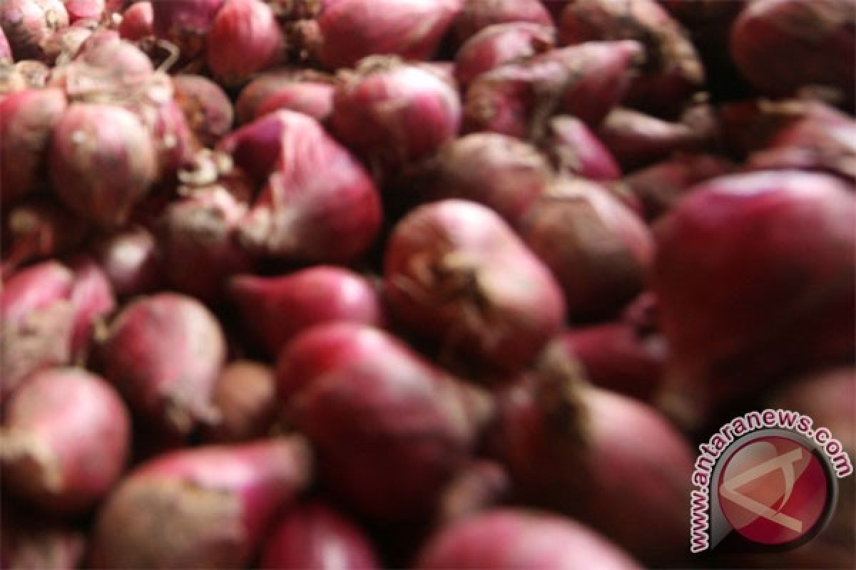 Terapi bawang dapat sembuhkan kanker? Ini faktanya