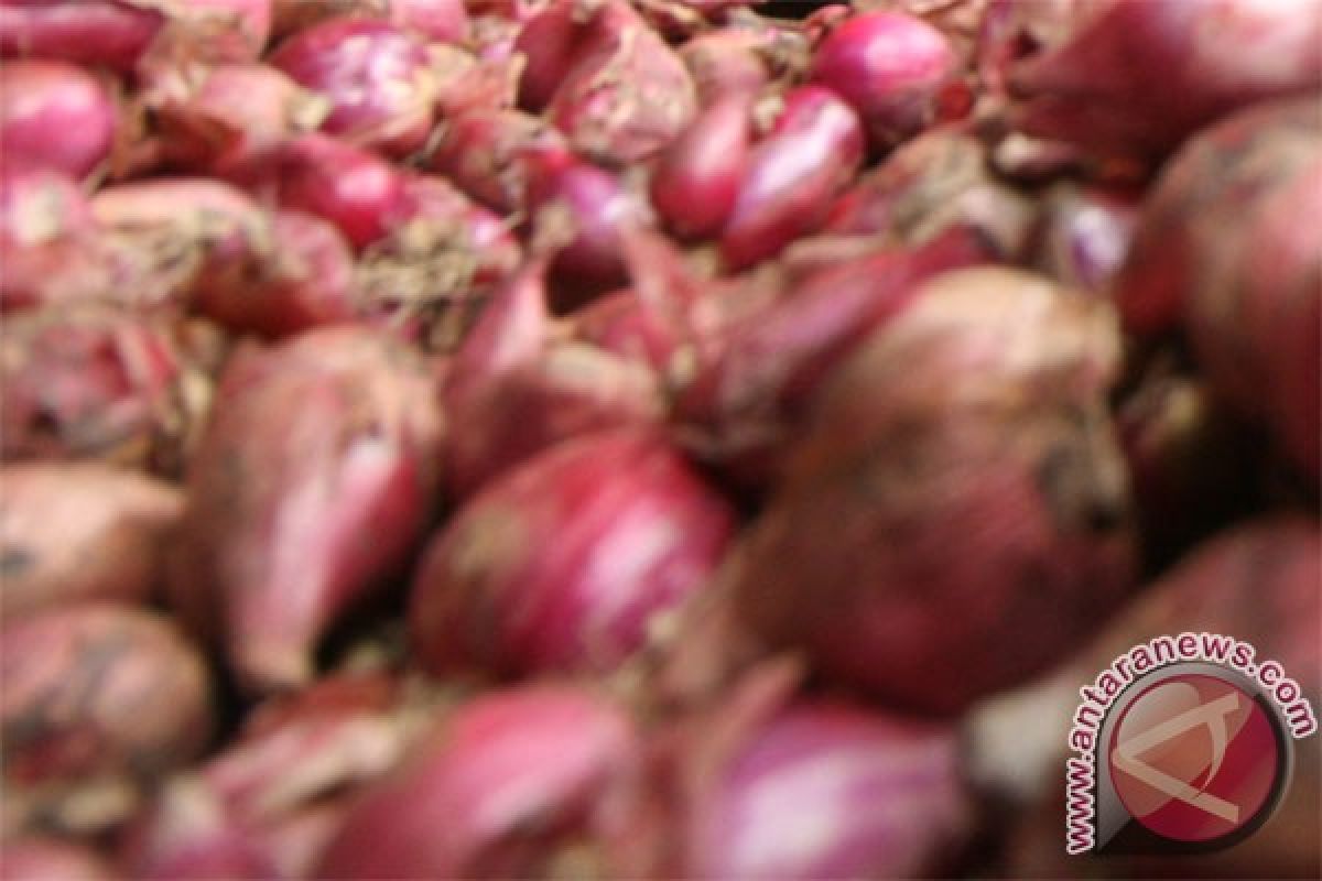 Bulog gelontorkan 1.000 ton bawang ke pasar