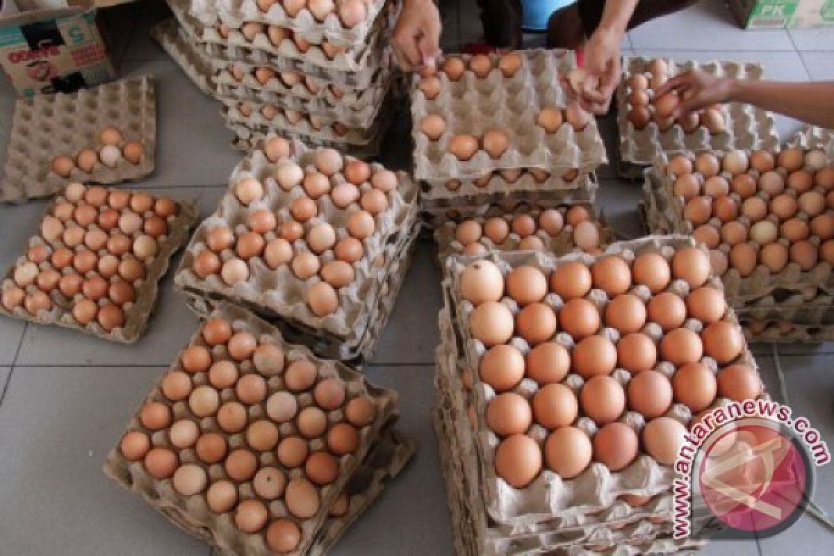 Harga telur ayam di Lhokseumawe bertahan