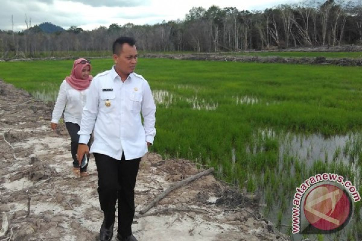 Keterbatasan Pupuk Kepri Ancam Keberhasilan Sawah Lingga