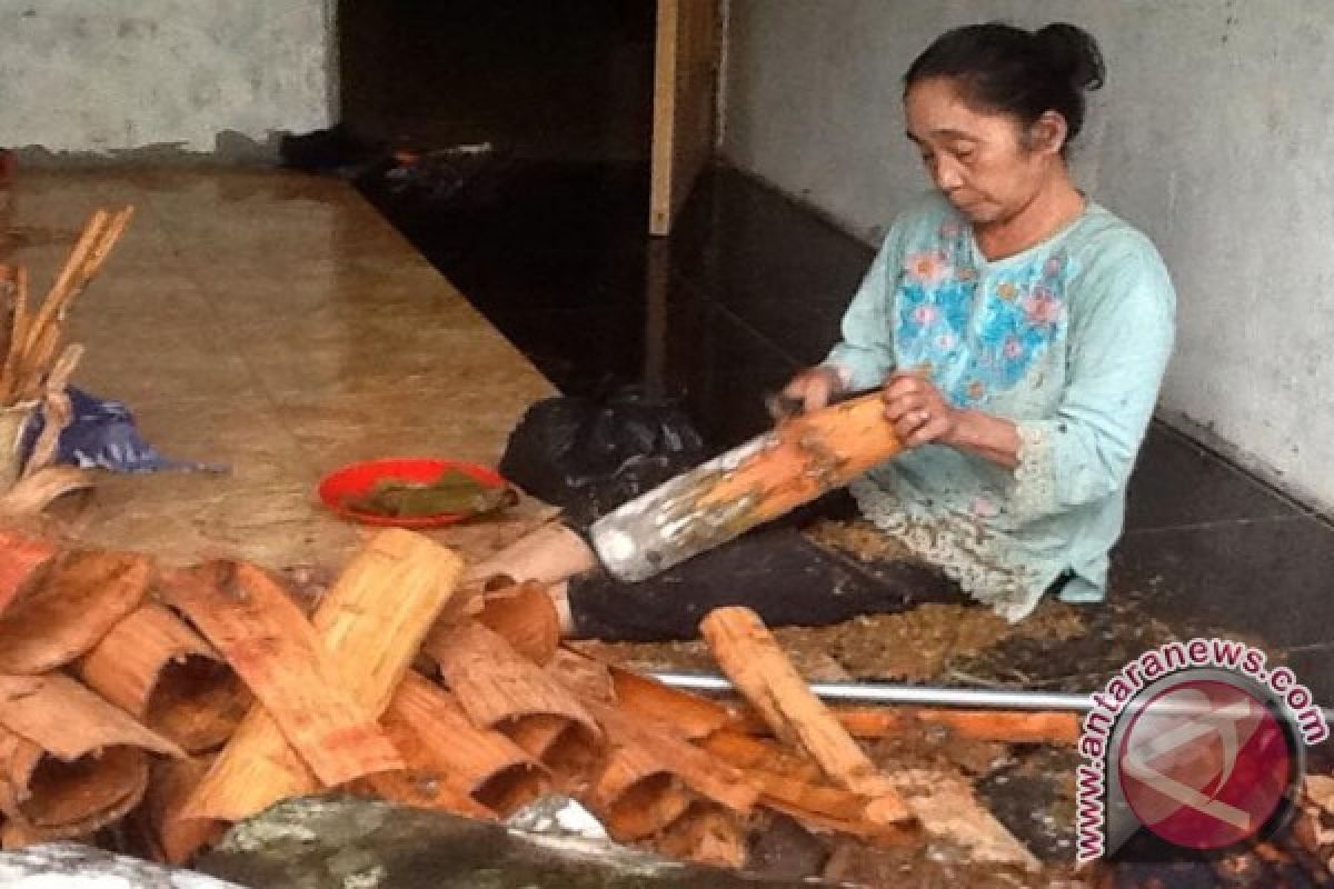 Warga Loksado Nikmati Membaiknya Harga Kayu Manis