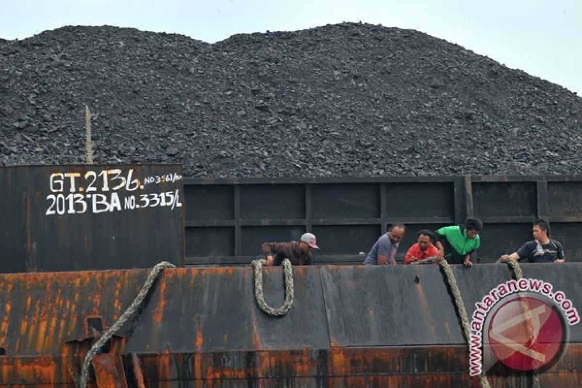 Harga batu bara naik 23 persen