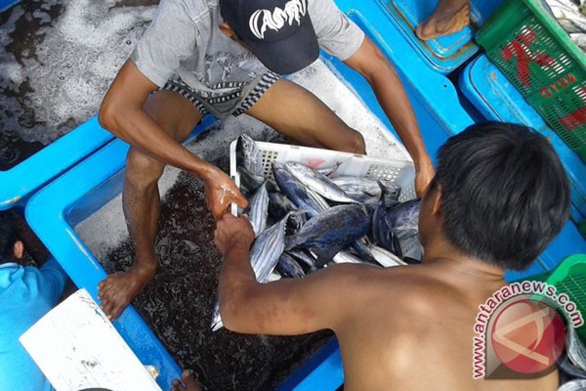 Nelayan Bengkulu Mulai Kembangkan Olahan Ikan Laut