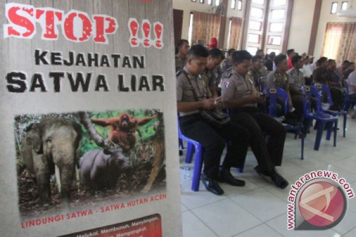 WWF: Perburuan Satwa Dilindungi di Sumatera Meningkat