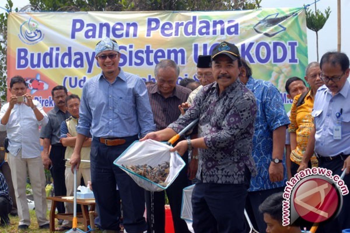 Dirjen : Perikanan budidaya ujung tombak Lumbung Ikan Nasional