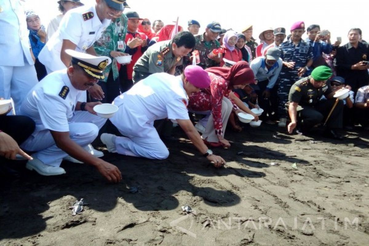 Danlantamal V Lepas Tukik Usai Resmikan Posal Puger Jember