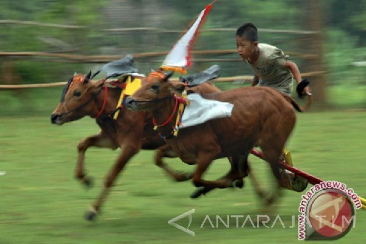 Pamekasan Promosikan Seni Budaya Tradisional kepada Wisatawan