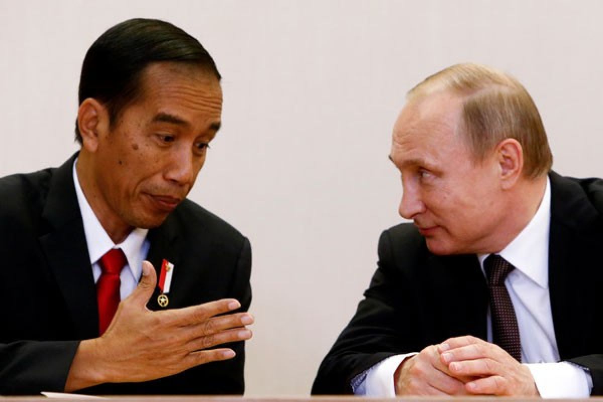 Jokowi, Putin deliberate on increasing palm oil exports to Russia