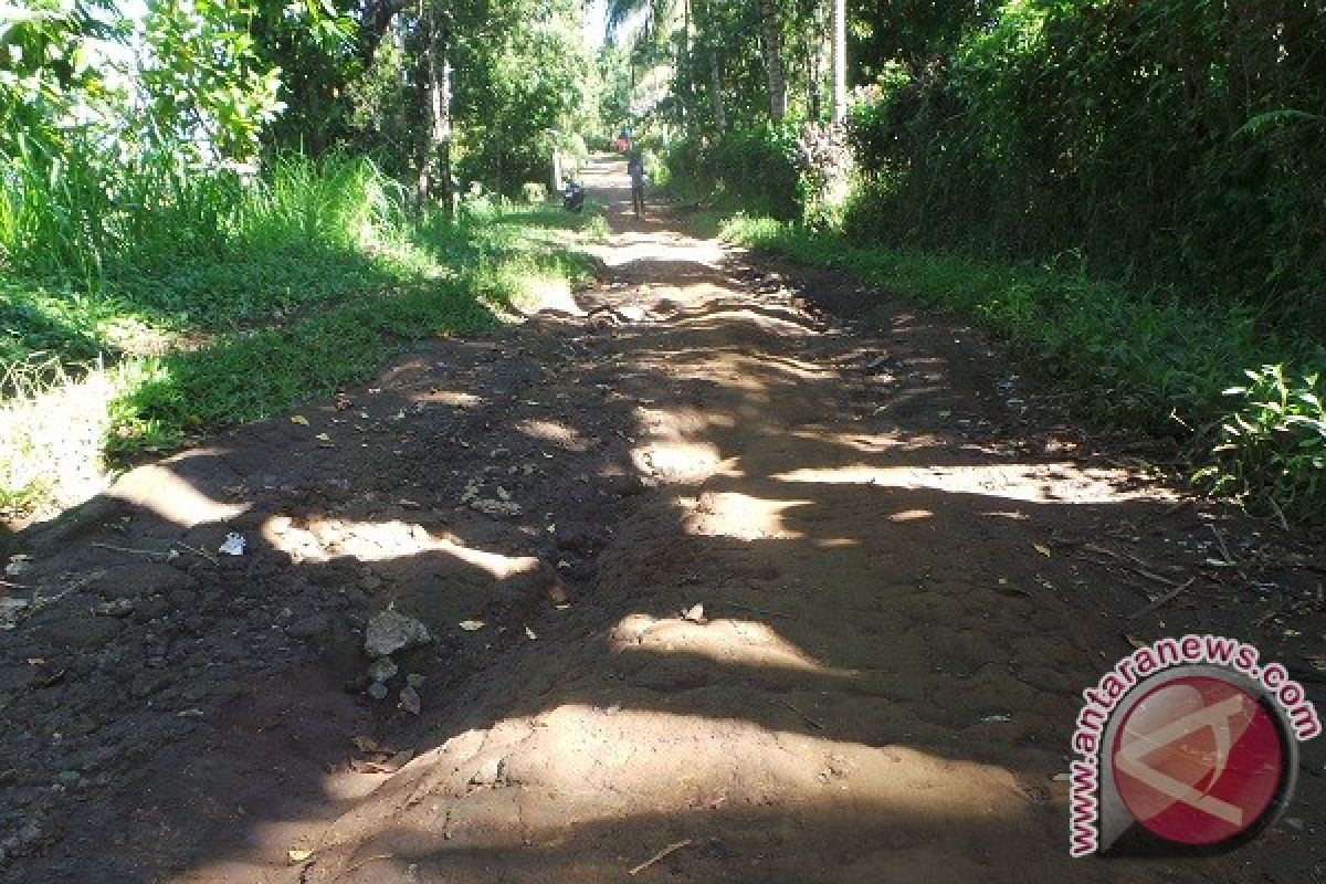 Masyarakat Tinggarsari Buleleng Berharap Dibantu Perbaikan Jalan