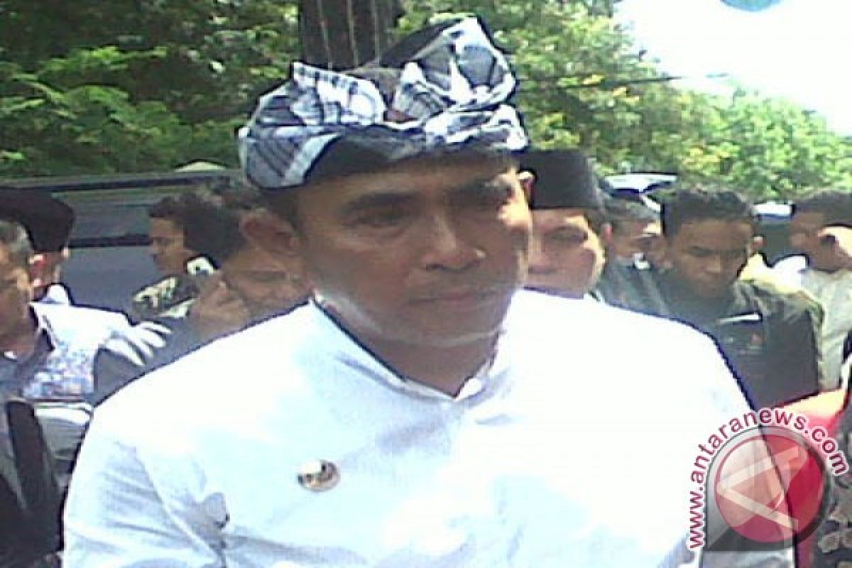 Umar Samiun Pimpin DPW PAN Sultra