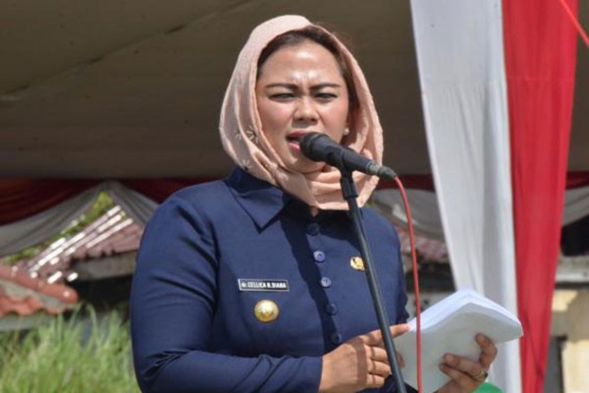 Bupati Karawang Presentasikan 'Si Jari Emas' Di Italia