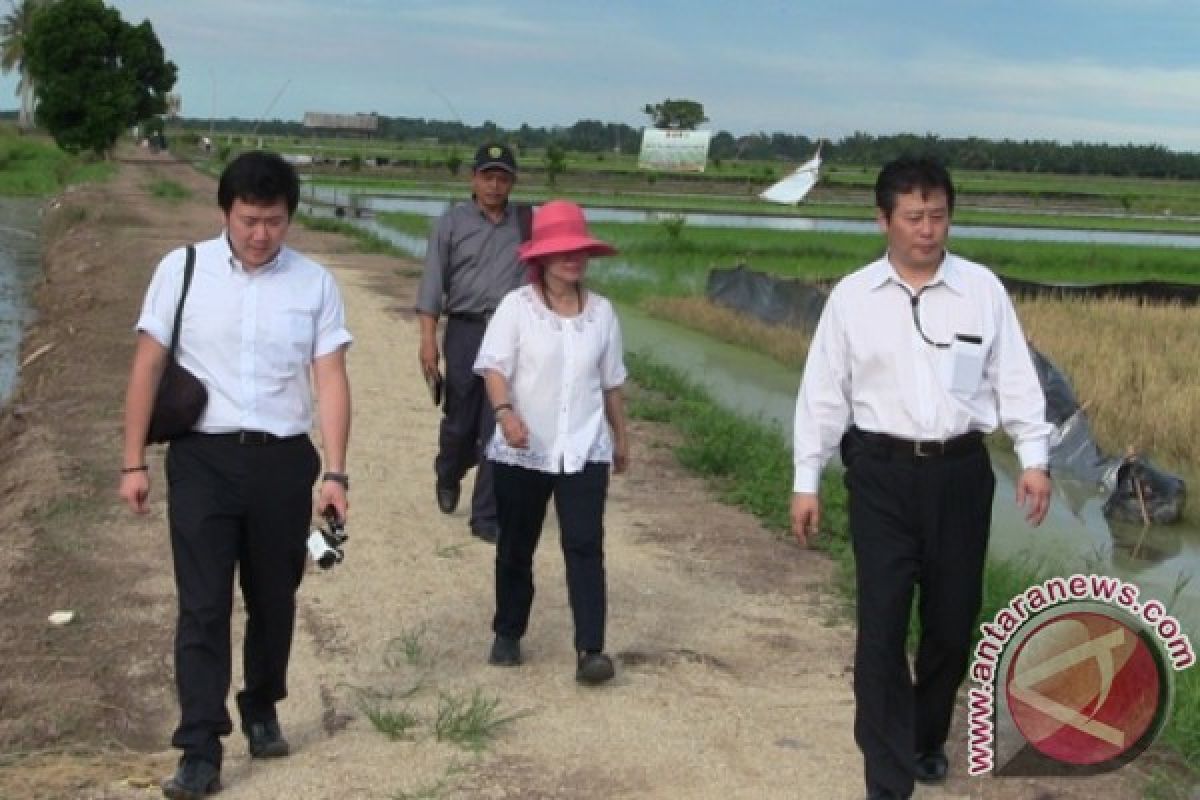 Investor Jepang Tinjau Lokasi Pertanian di Penajam