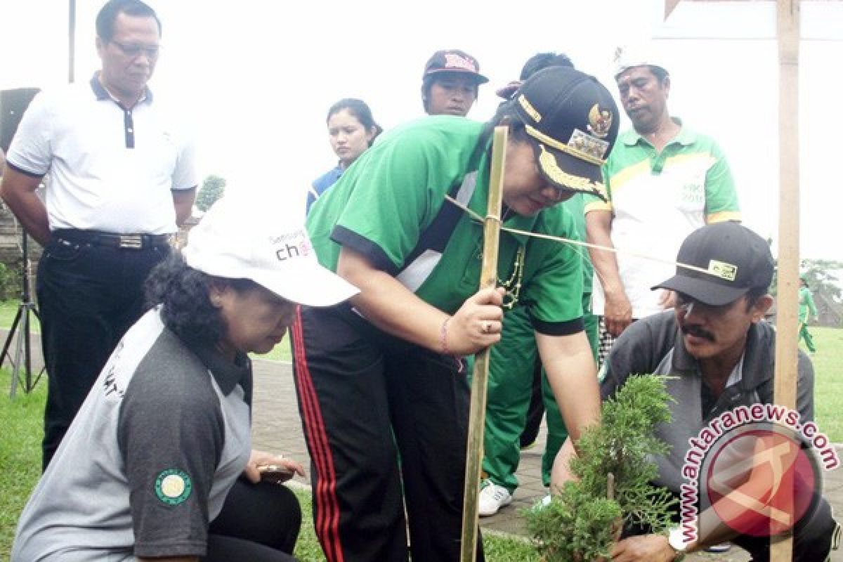 Pemkab Karangasem Intensifkan Penghijauan