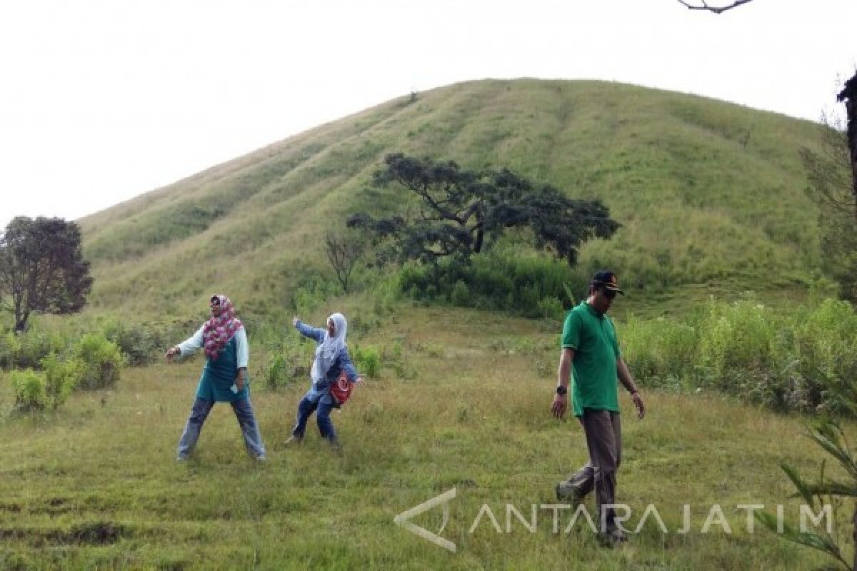 Disparporahub: Pengunjung Wisata Kawah Ijen Bondowoso Meningkat