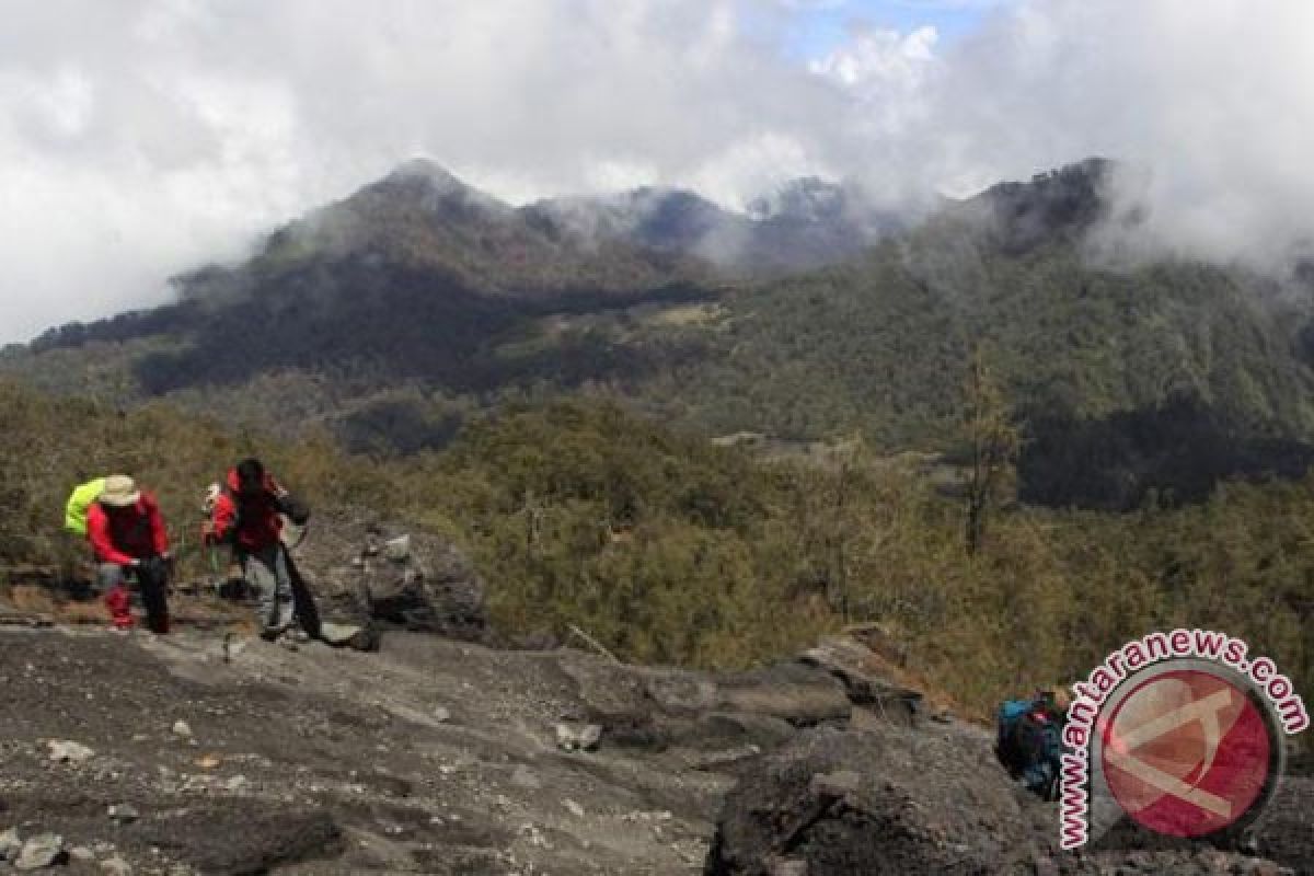 Keluarga korban hilang Semeru yakin masih hidup