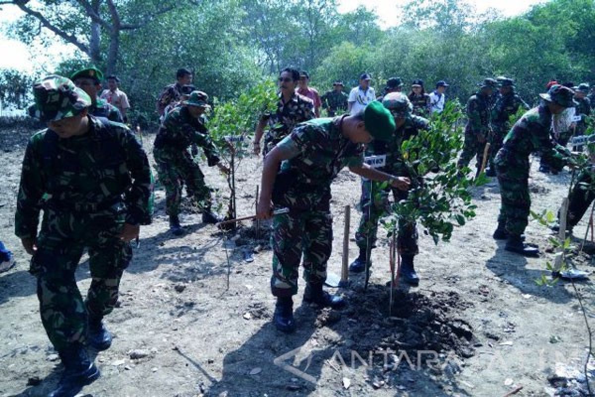 Warga Bangkalan Kembangkan Taman Pendidikan Mangrove