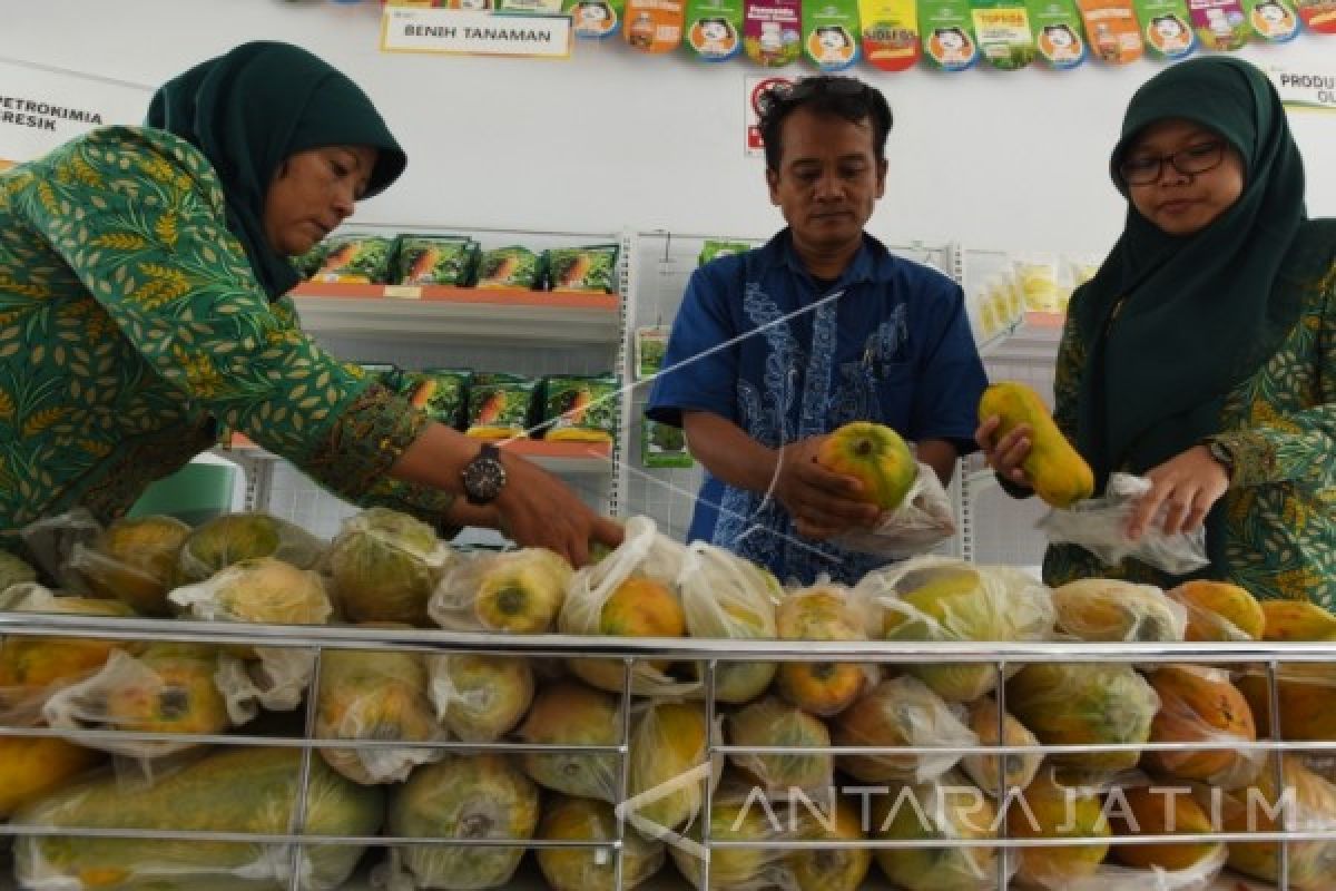 Petrokimia Kembangkan Pasar Swalayan Hayati di Sepuluh Lokasi