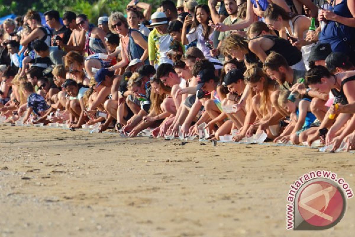 200 tukik dilepas di pantai masceti-Gianyar