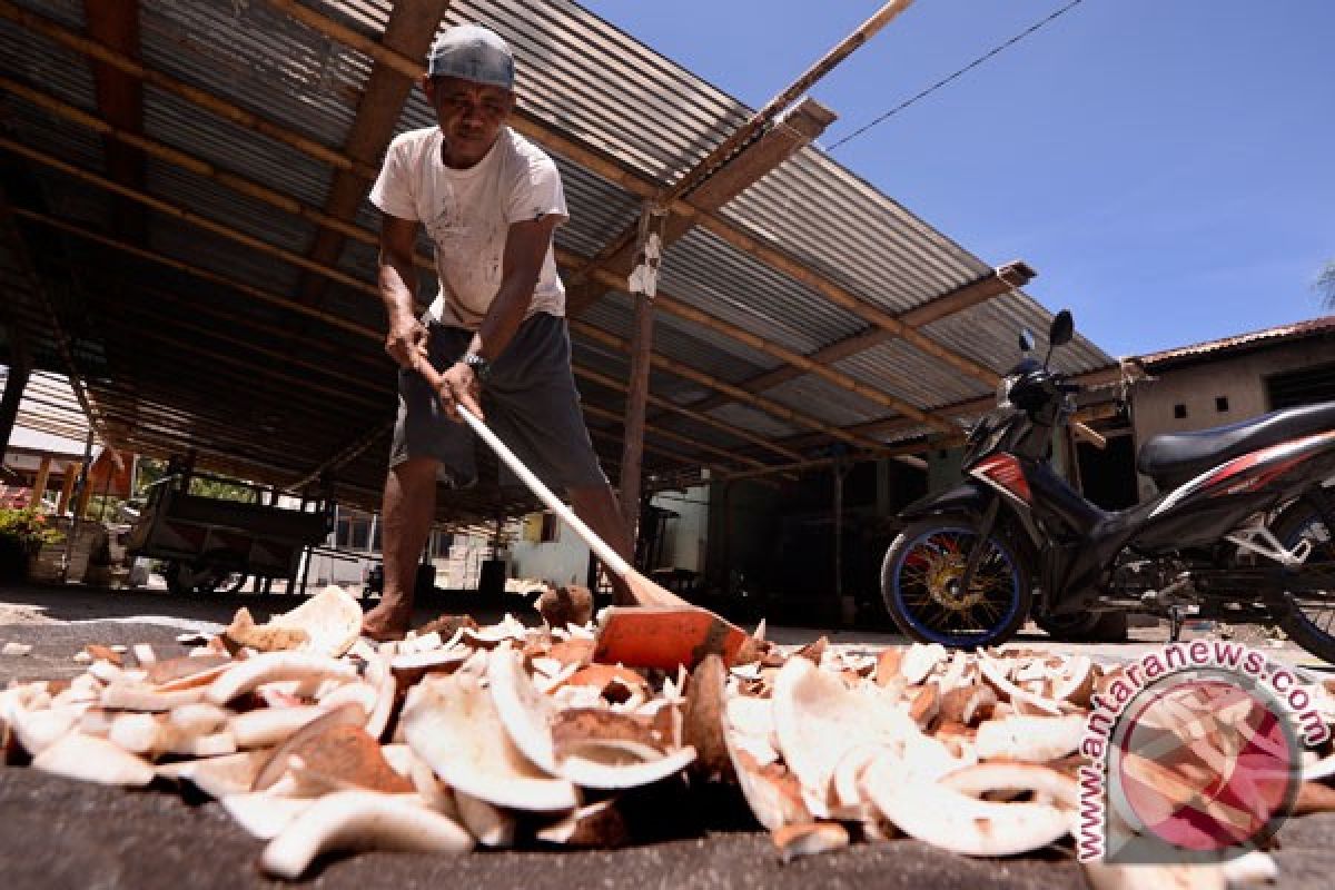 India makin meminati bungkil kopra asal Sulawesi Utara