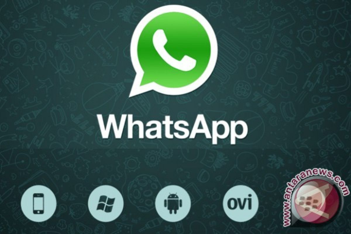 WhatsApp jadi aplikasi pesan paling populer di Android