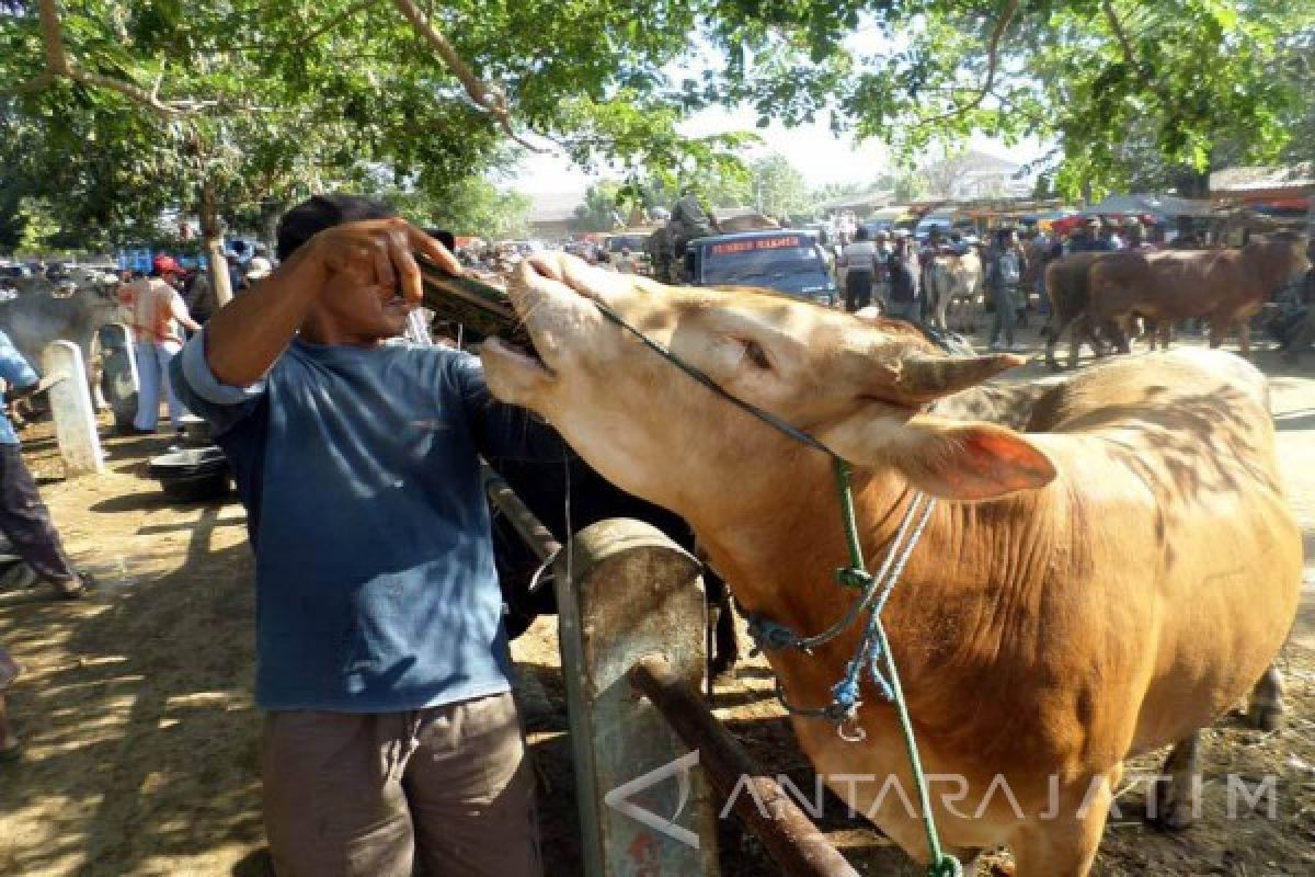 Pemkab Madiun Jamin Ketersediaan Daging Sapi Cukup