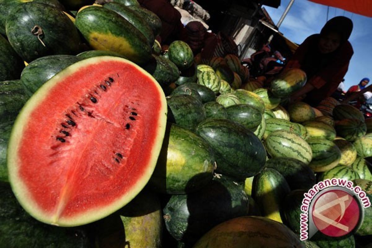 Khasiat buah semangka bagi kesehatan tubuh