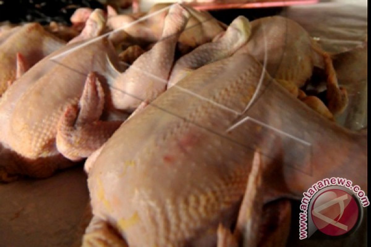 Harga daging ayam mahal, pemkab tak bisa intervensi