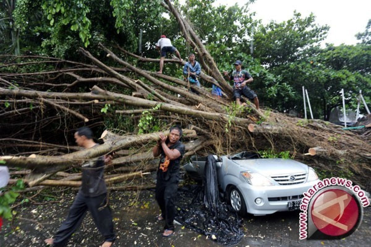 Tagana Babel Siaga Bencana Angin Puting Beliung