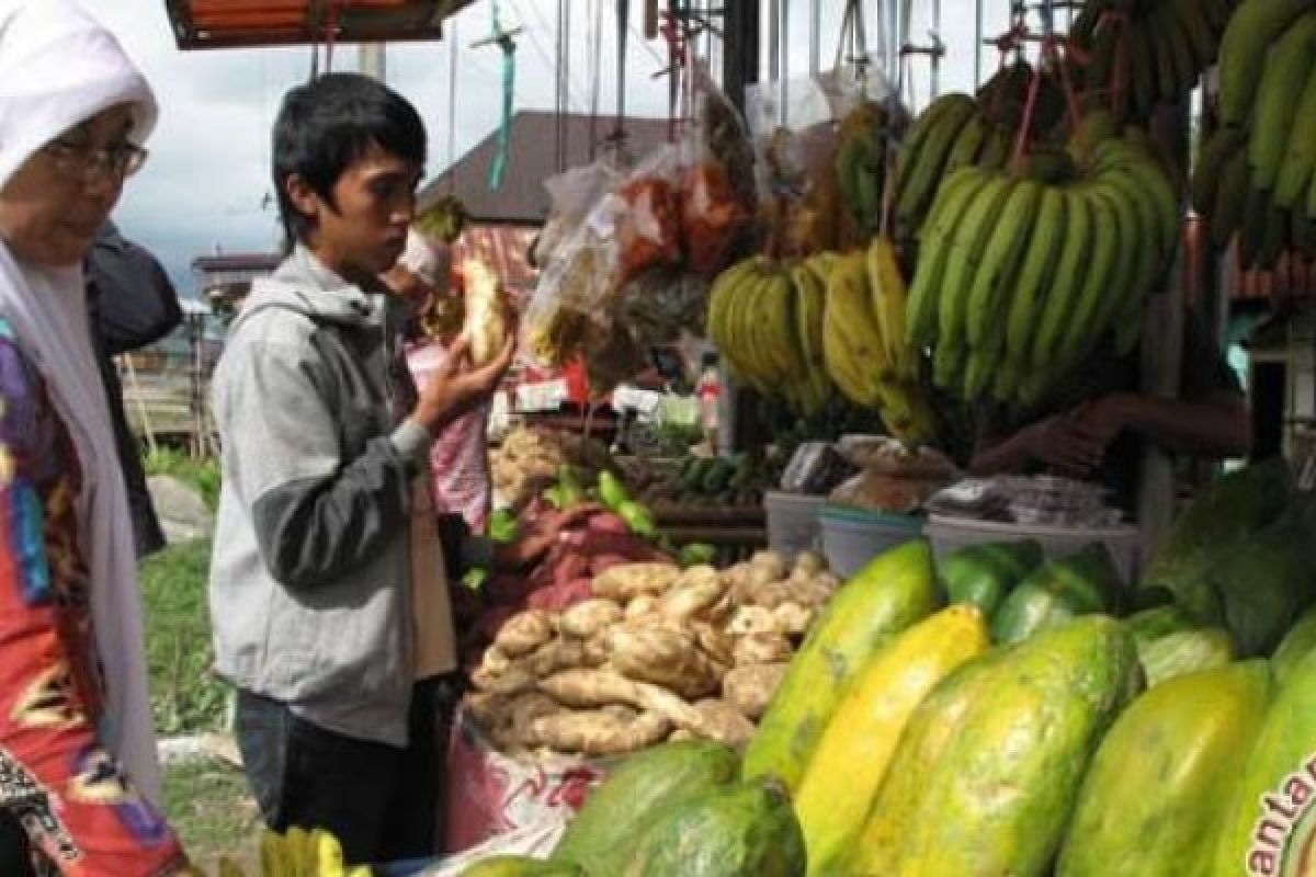 Panitia Klaim Annur Agro Wisata Expo Sudah Dikunjungi 10.000 Orang 