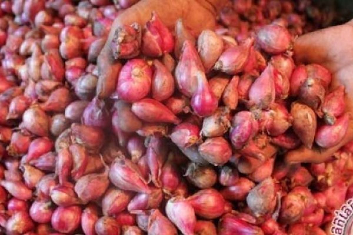 Kembali Bawang Merah Asal Malaysia Diselundupkan ke Riau Ditangkap Polair