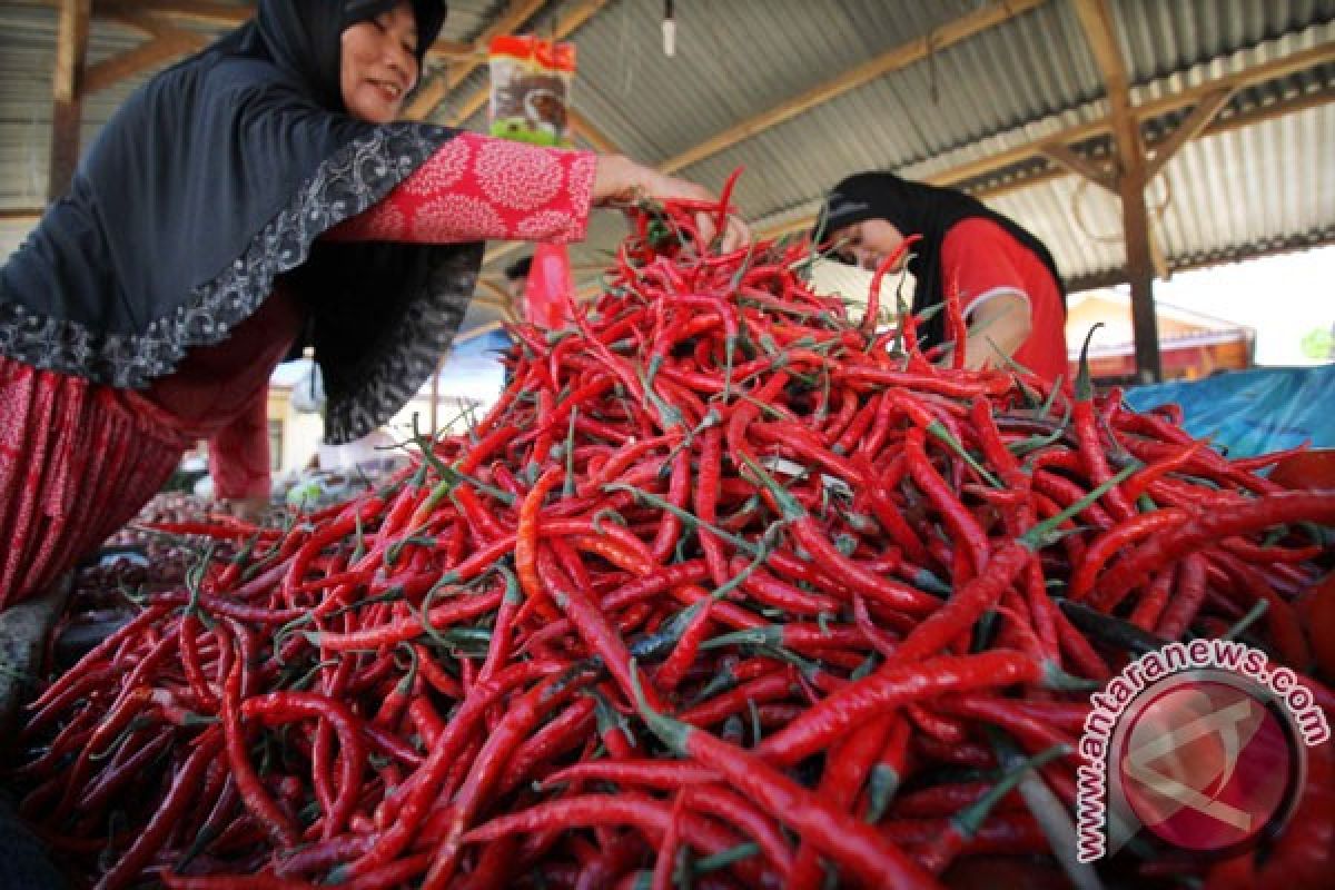 Kemendag tugaskan PPI distribusikan cabai tekan harga